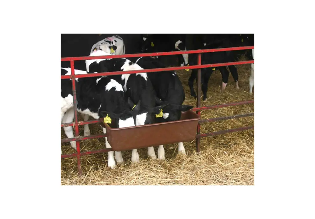 Hook Over Rail Feeder  32L.webp