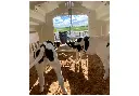 Milk Bar 2 Teat Hanging Feeder in use.webp