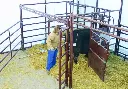 Hiqual Classic Calving Pen