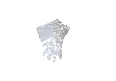 OB/AI gloves clear, 1.25 mil. Box/100