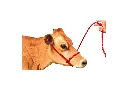 Cow/Horse Rope Halter