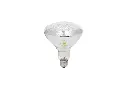 175 Watt  Heat Lamp Bulb