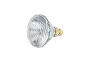 175 Watt Phillips Brooder Bulb